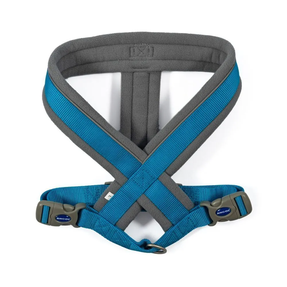 Ancol Viva Medium Blue Padded Dog Harness