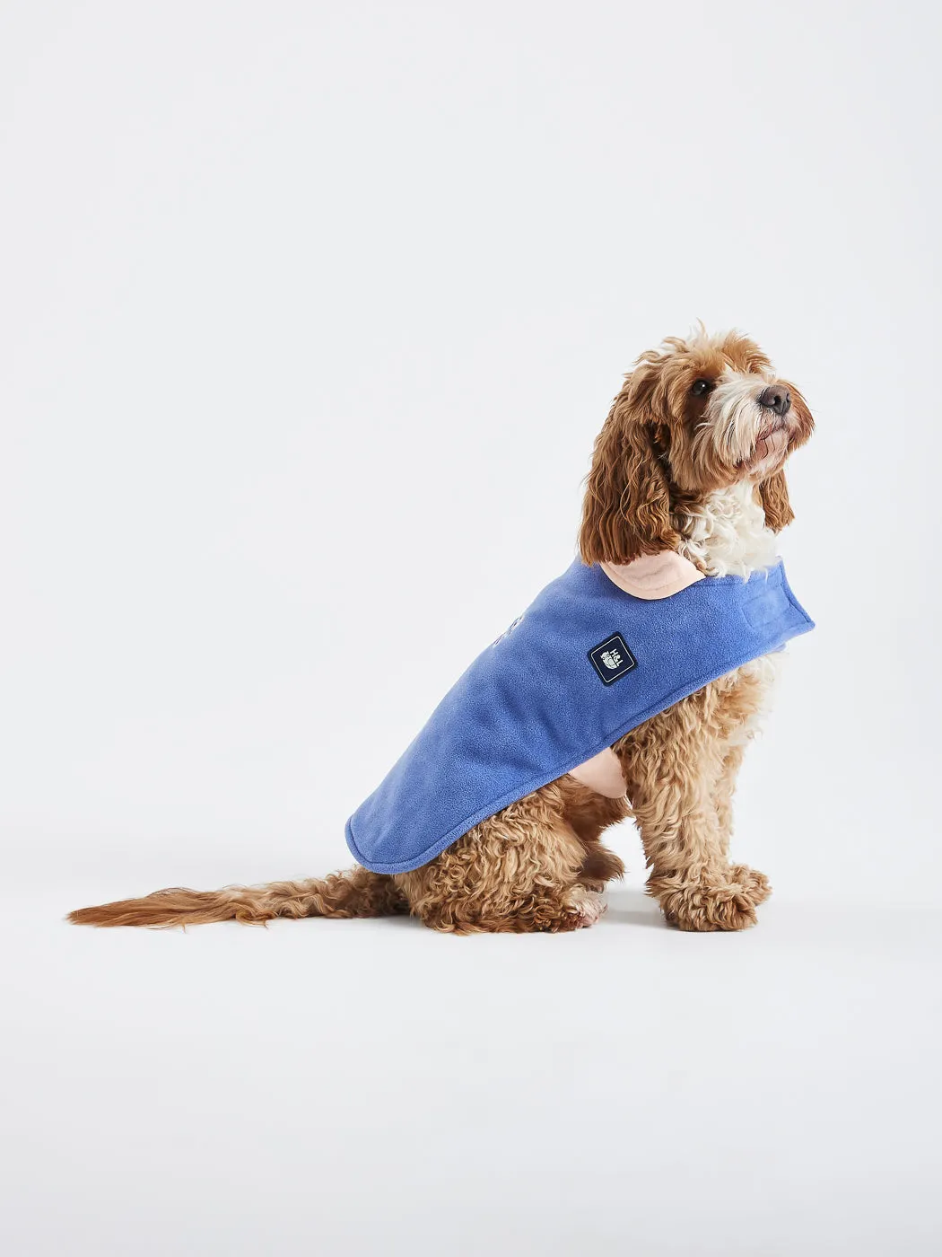 Robin Dogs Fleece